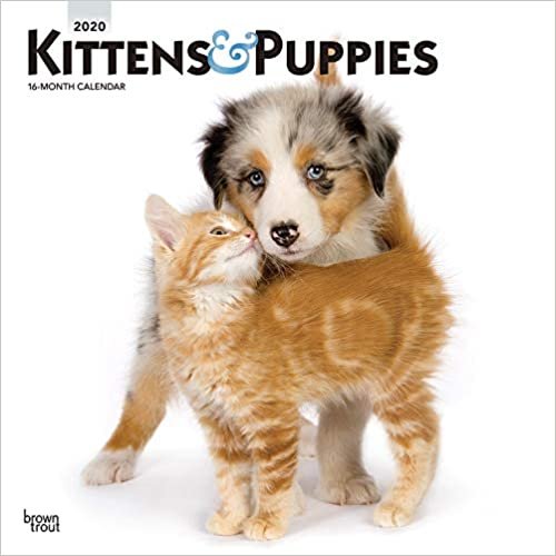 ダウンロード  Kittens & Puppies 2020 Calendar: Foil Stamped Cover 本