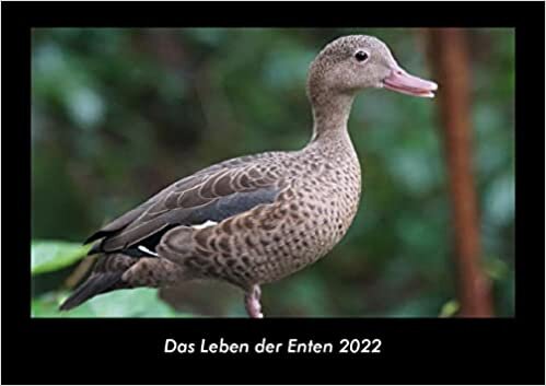 ダウンロード  Das Leben der Enten 2022 Fotokalender DIN A3: Monatskalender mit Bild-Motiven von Haustieren, Bauernhof, wilden Tieren und Raubtieren 本