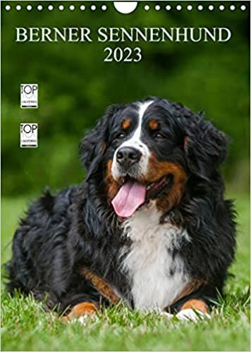 Berner Sennenhund 2023 (Wandkalender 2023 DIN A4 hoch): Berner Sennenhunde auf 13 wundervollen Fotos (Monatskalender, 14 Seiten )