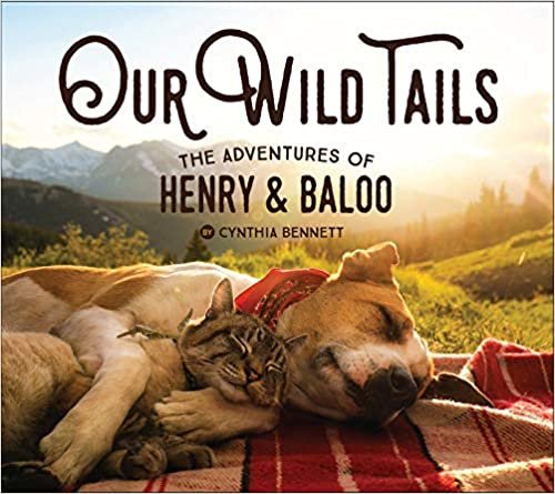 ダウンロード  Our Wild Tails: The Adventures of Henry & Baloo 本