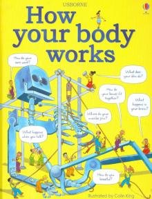 Бесплатно   Скачать Judy Hindley: How Your Body Works
