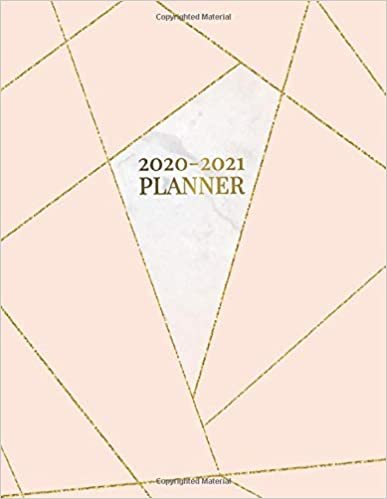 2020-2021 Planner: 2 Year Daily Weekly Planner & Organizer with To-Do’s, Inspirational Quotes, Vision Boards & Notes | Two Year Agenda Schedule ... Calendar | Pink & Gold Lined Marble Pattern