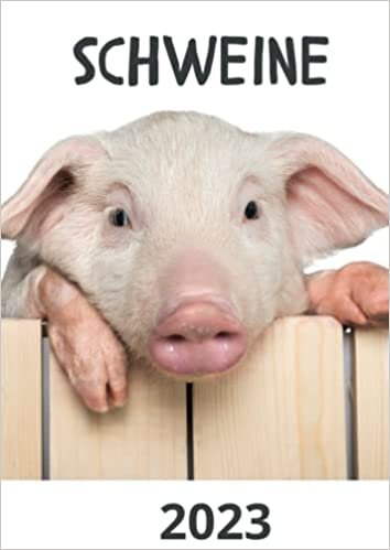 تحميل Schweine Kalender 2023: Broschürenkalender / Tischkalender für das Jahr 23 - das perfekte Geschenk für Freunde, Kollegen, zu Weihnachten und Geburtstag