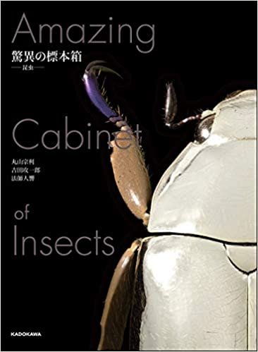 驚異の標本箱 -昆虫-