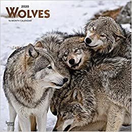 Wolves 2020 Calendar