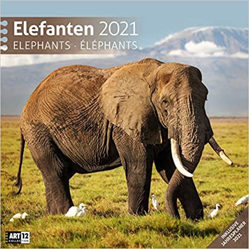 ダウンロード  Elefanten 2021 Broschuerenkalender 本