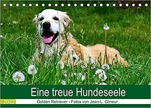 ダウンロード  Eine treue Hundeseele - Golden Retriever (Tischkalender 2022 DIN A5 quer): Der ideale Familienhund (Monatskalender, 14 Seiten ) 本