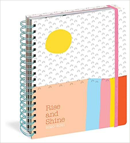 Rise and Shine 17-Month Large August 2020 - December 2021 Planner (Pipsticks+workman)
