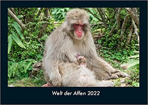 ダウンロード  Welt der Affen 2022 Fotokalender DIN A4: Monatskalender mit Bild-Motiven von Haustieren, Bauernhof, wilden Tieren und Raubtieren 本