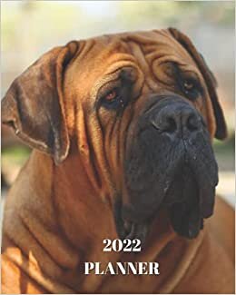 2022 Planner: Boerboel Dog -12 Month Planner January 2022 to December 2022 Monthly Calendar with U.S./UK/ Canadian/Christian/Jewish/Muslim Holidays– Calendar in Review/Notes 8 x 10 in.- Dog Breed Pets indir