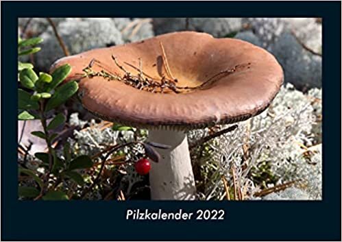 Pilzkalender 2022 Fotokalender DIN A4: Monatskalender mit Bild-Motiven aus Fauna und Flora, Natur, Blumen und Pflanzen ダウンロード