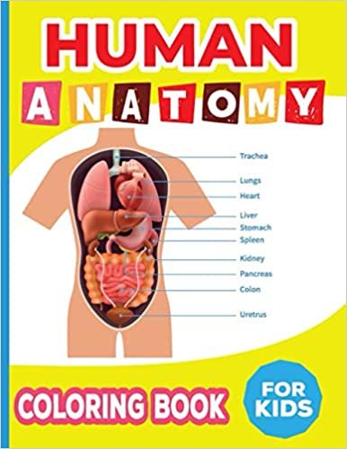 ダウンロード  Human Anatomy Coloring book for kids: Human Anatomy Educational and Physiology kids science Activity Book 本