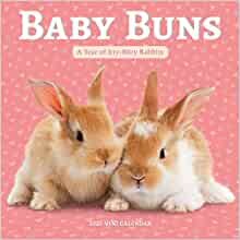Baby Buns 2021 Calendar: A Year of Itty-Bitty Rabbits