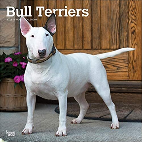 ダウンロード  Bull Terriers 2021 Calendar 本