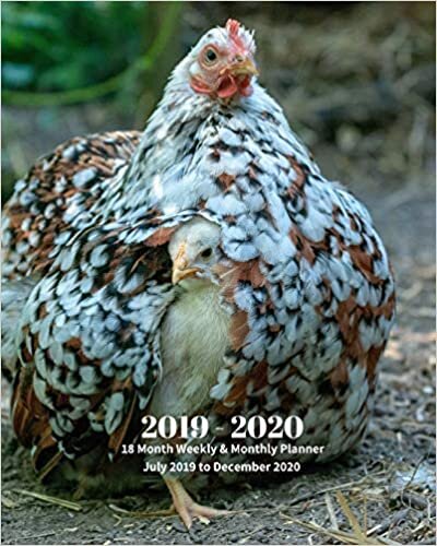 indir 2019 - 2020 | 18 Month Weekly &amp; Monthly Planner July 2019 to December 2020: Chicken and Chick Farm Animal Vol 2 Monthly Calendar with U.S./UK/ ... Holidays– Calendar in Review/Notes 8 x 10 in.