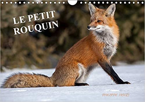 LE PETIT ROUQUIN (Calendrier mural 2021 DIN A4 horizontal): 13 photos de renards au fil des quatre saisons (Calendrier mensuel, 14 Pages )