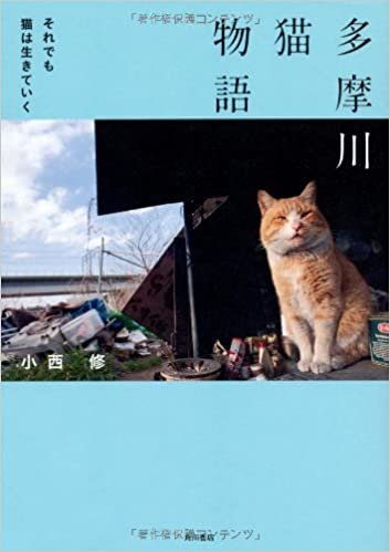 ダウンロード  多摩川猫物語    それでも猫は生きていく 本