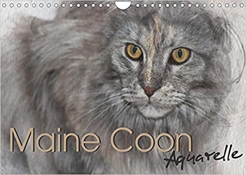 Maine Coon Aquarelle (Wandkalender 2022 DIN A4 quer): Kunstvolle Portraits der begehrten Katzenrasse Maine Coon (Monatskalender, 14 Seiten )