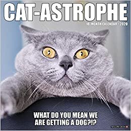 Cat-Astrophe 2020 Calendar