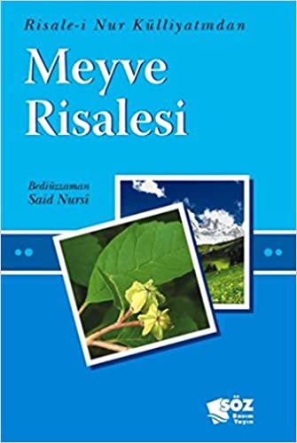 Meyve Risalesi (Mini Boy): Risale-i Nur Külliyatından indir