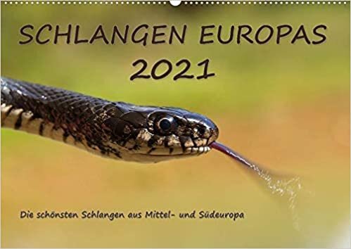 ダウンロード  Europaeische Schlangen (Wandkalender 2021 DIN A2 quer): Europaeische Schlangen (Monatskalender, 14 Seiten ) 本