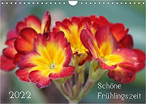 ダウンロード  Schoene Fruehlingszeit (Wandkalender 2022 DIN A4 quer): Mit Fruehlingsblueten durch das Jahr! (Monatskalender, 14 Seiten ) 本