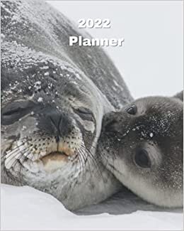 2022 Planner: Seal and Baby Seal - 12 Month Weekly and Monthly Planner January 2022 to December 2022 Monthly Calendar with U.S./UK/ ... 8 x 10 in.- Ocean Animal Marine Life indir