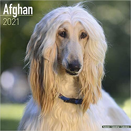 ダウンロード  Afghan 2021 Wall Calendar 本