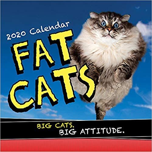 Fat Cats 2020 Calendar: Big Cats Big Cattitude