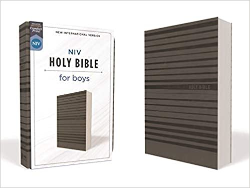 NIV, Holy Bible for Boys, Soft Touch Edition, Leathersoft, Gray, Comfort Print indir