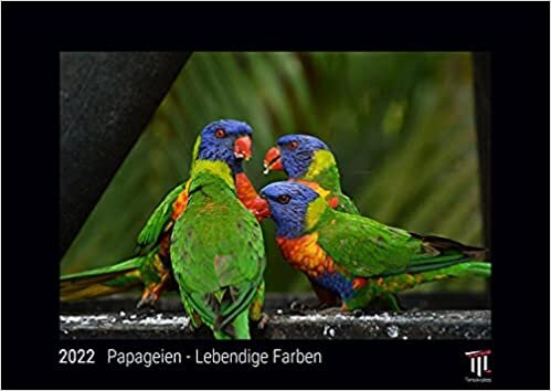 ダウンロード  Papageien - Lebendige Farben 2022 - Black Edition - Timokrates Kalender, Wandkalender, Bildkalender - DIN A3 (42 x 30 cm) 本