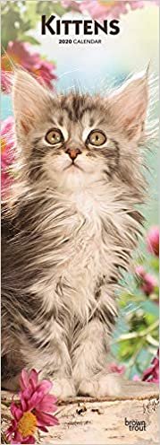 Kittens 2020 Slimline Calendar ダウンロード