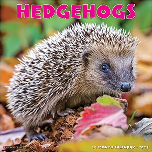 Hedgehogs 2023 Wall Calendar