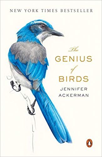تحميل The Genius of Birds