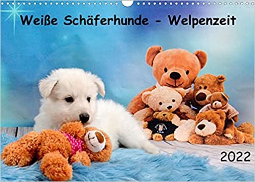 ダウンロード  Weisse Schaeferhunde - Welpenzeit (Wandkalender 2022 DIN A3 quer): Weisse Schaeferhunde in den ersten 12 Lebenswochen (Geburtstagskalender, 14 Seiten ) 本
