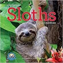 2022 the Original Sloths Calendar