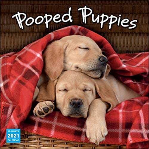 ダウンロード  Pooped Puppies 2021 Calendar 本