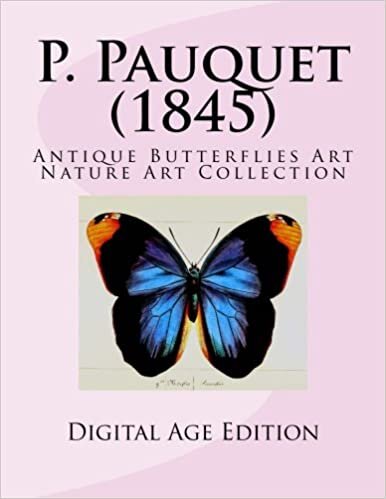 indir P. Pauquet (1845) Antique Butterflies Art: Nature Art Collection Digital Age Edition