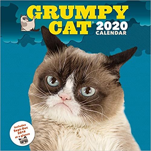 Grumpy Cat 2020 Wall Calendar: (Funny Gag Gift Yearly Calendar, Cat Lovers Present)