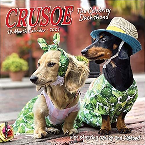 indir Crusoe the Celebrity Dachshund 2021 Calendar