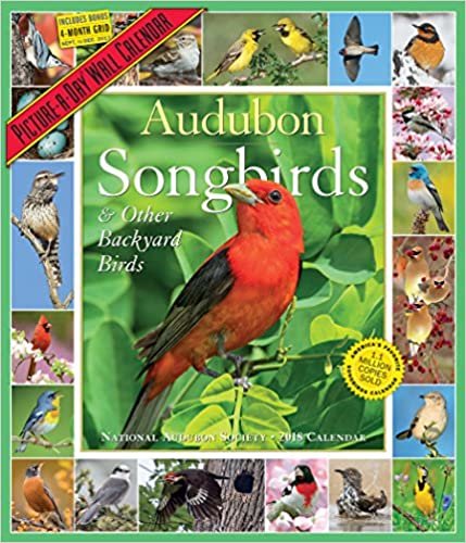 Audubon Songbirds & Other Backyard Birds 2018 Calendar ダウンロード