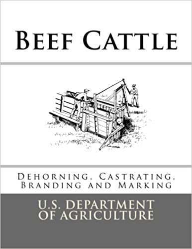 Beef Cattle: Dehorning, Castrating, Branding and Marking (Farmers' Bulletin) indir