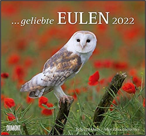 ダウンロード  Geliebte Eulen 2022 - DuMont Wandkalender 本