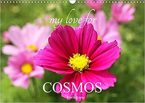 My Love for Cosmos (Wall Calendar 2023 DIN A3 Landscape): Beautiful cosmeas in the garden (Monthly calendar, 14 pages )