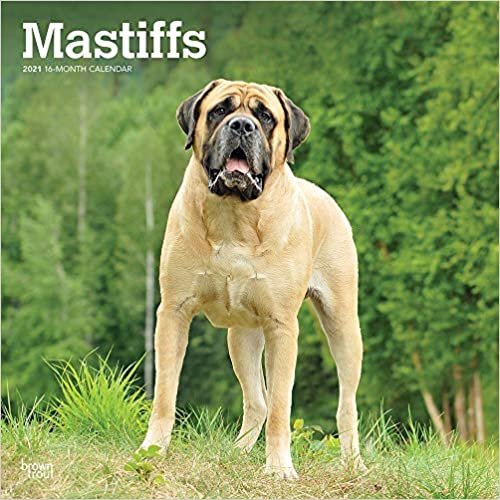 Mastiffs 2021 - 16-Monatskalender mit freier DogDays-App: Original BrownTrout-Kalender [Mehrsprachig] [Kalender] (Wall-Kalender)