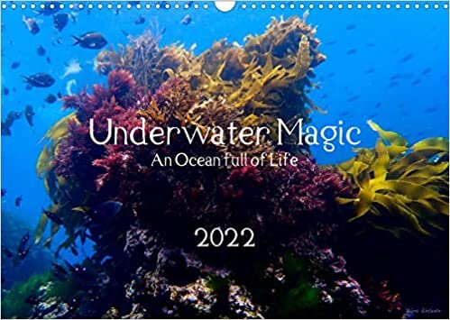 Underwater Magic (Wandkalender 2022 DIN A3 quer): Lass dich verzaubern von der Magie der faszinierenden Unterwasserwelt! (Monatskalender, 14 Seiten )