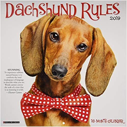 ダウンロード  Dachshund Rules 2019 Calendar 本