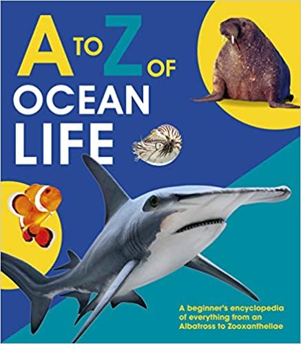 A to Z of Ocean Life (A-Z) indir