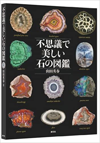 ダウンロード  不思議で美しい石の図鑑 本