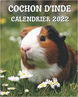 indir Cochon d&#39;Inde Calendrier 2022: Calendrier mensuel 2022 avec des images de magnifiques cochons d&#39;Inde